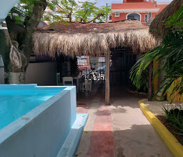 Enjoy Playa Hostel photo