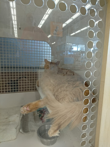 Pet Supply Store «Petco Animal Supplies», reviews and photos, 5565 S Virginia St, Reno, NV 89502, USA