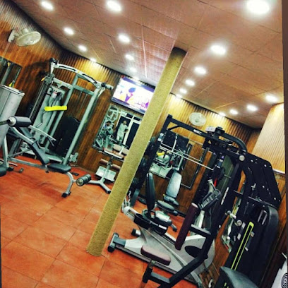 The royal fitness gym - H.n 2, Tyagi Vihar, Nangloi, Delhi, 110041, India