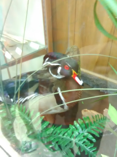 Pet Supply Store «PetSmart», reviews and photos, 211 W Alexander St A, Plant City, FL 33563, USA