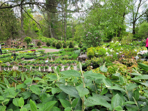 Garden Center «Stonewall Garden Center», reviews and photos, 4675 PA-447, Canadensis, PA 18325, USA