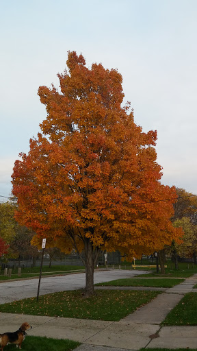 Park «Archmere Park», reviews and photos, 4117 Oak Park Ave, Cleveland, OH 44109, USA