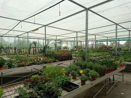 Plants stores Seville