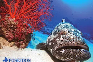 Poseidon Outer Reef Cruises image