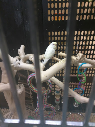 Pet Supply Store «PetSmart», reviews and photos, 5401 N Garland Ave, Garland, TX 75040, USA