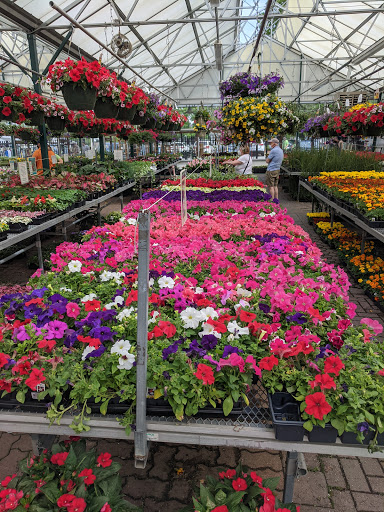 Garden Center «Sixteen Acres Garden Center», reviews and photos, 1359 Wilbraham Rd, Springfield, MA 01119, USA