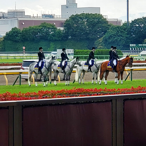 Horseback riding lessons Tokyo