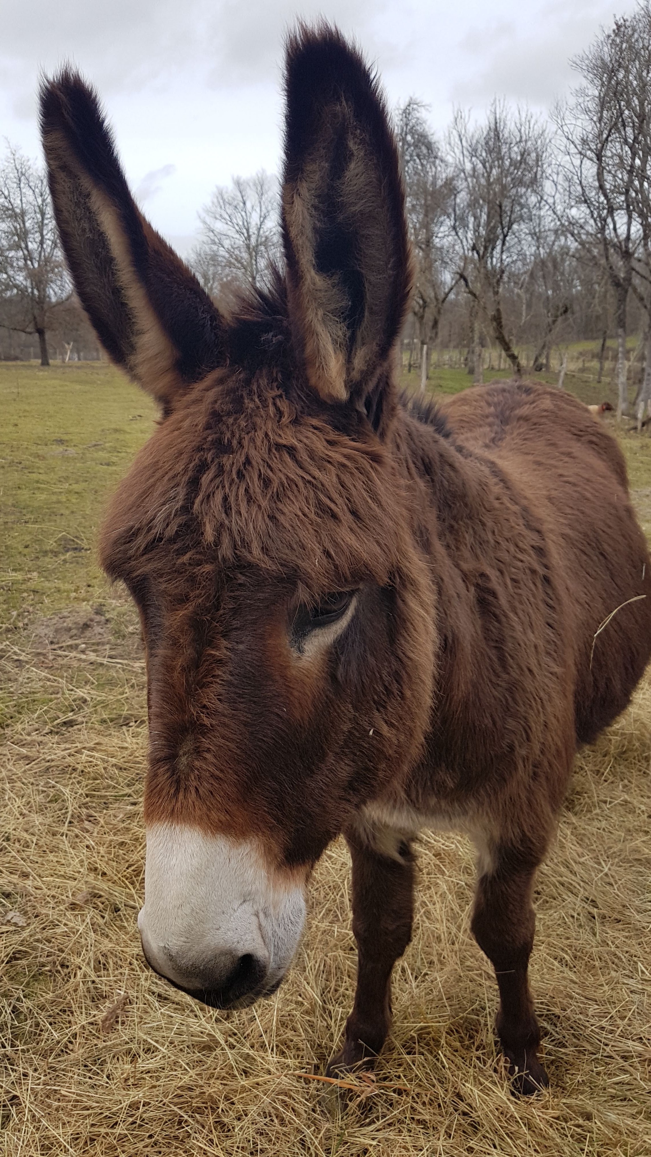 Photo n° 10 de l'avis de Thierry.a fait le 09/02/2019 à 16:21