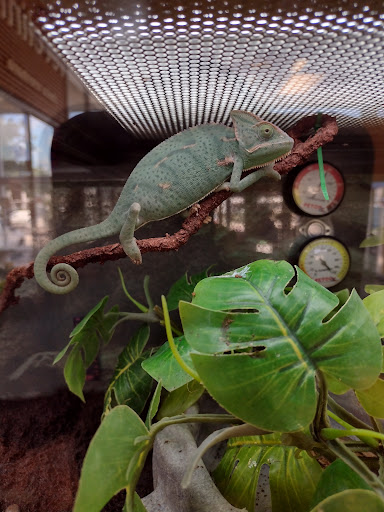 Pet Supply Store «Petco Animal Supplies», reviews and photos, 3680 Spencer Hwy, Pasadena, TX 77504, USA