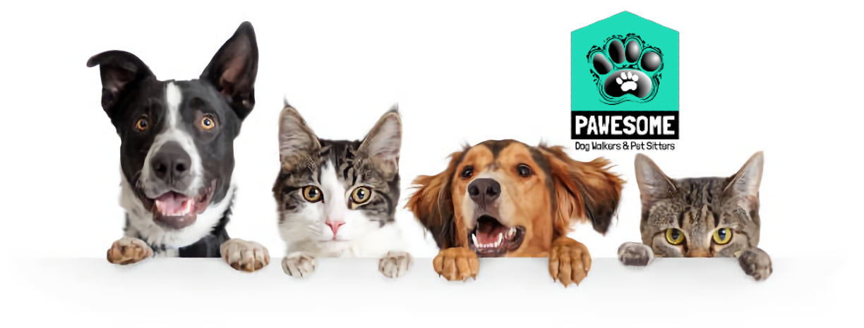 Pawsome Dog Walkers & Pet Sitters of Syracuse