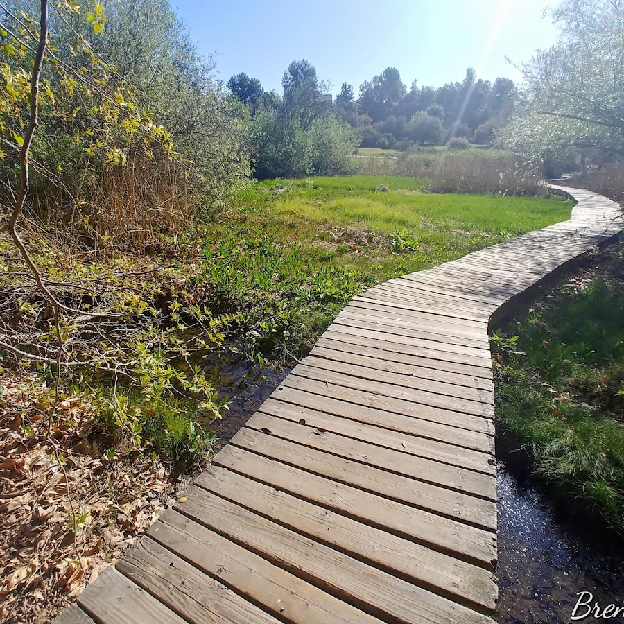 Los Jilgueros Preserve