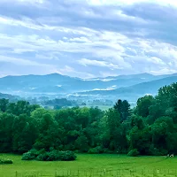 Little Washington Winery and Brewery in Washington, undefined - 4.50 star rating