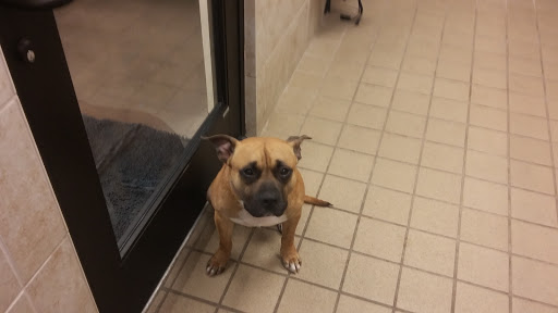 Pet Supply Store «Pet Supplies Plus», reviews and photos, 1616 Precinct Line Rd, Hurst, TX 76054, USA