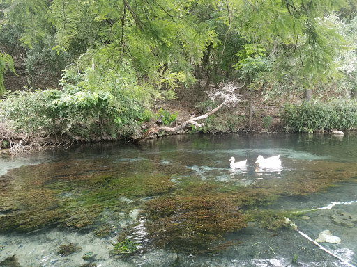 Public Golf Course «Landa Park Golf Course at Comal Springs», reviews and photos, 180 Golf Course Rd, New Braunfels, TX 78130, USA