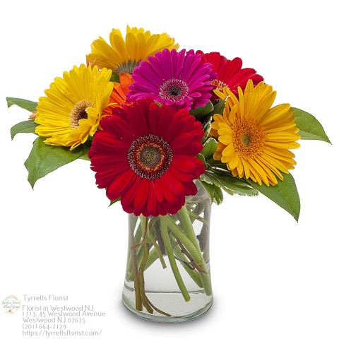 Florist «Tyrrells Florist», reviews and photos, 45 Westwood Ave, Westwood, NJ 07675, USA