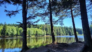 Photo n°12 de Etang Du Breuil La Chaise Dieu à Bonneval ()