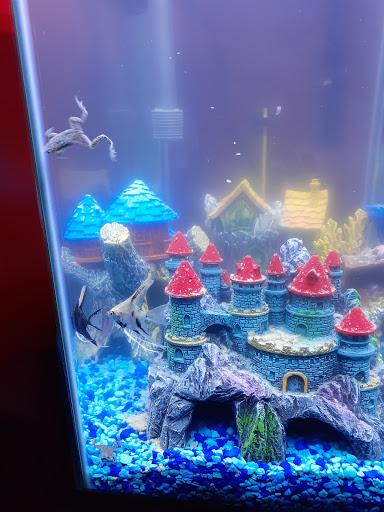 Pet Supply Store «PetSmart», reviews and photos, 157 Levittown Pkwy B, Levittown, PA 19055, USA