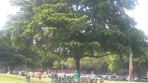 Park «Pine Island Park», reviews and photos, 320 S Pine Island Rd, Plantation, FL 33324, USA