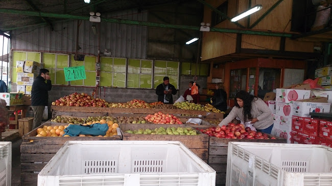 agrolapalmera.cl