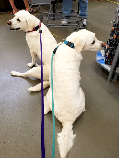 Home Improvement Store «The Home Depot», reviews and photos, 11755 Willow Creek Dr, Auburn, CA 95603, USA