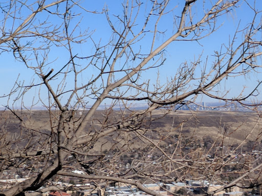 Museum «Colorado School of Mines Geology Museum», reviews and photos, 1301 Maple St, Golden, CO 80401, USA