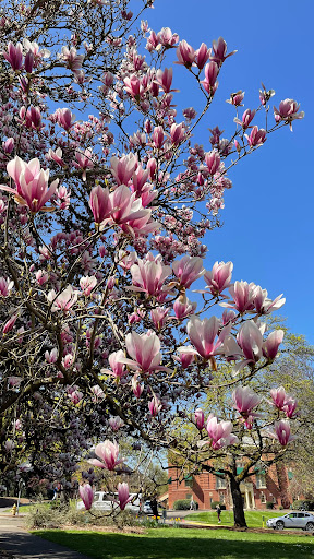 Book Store «The Duck Store - Campus», reviews and photos, 895 E 13th Ave, Eugene, OR 97401, USA