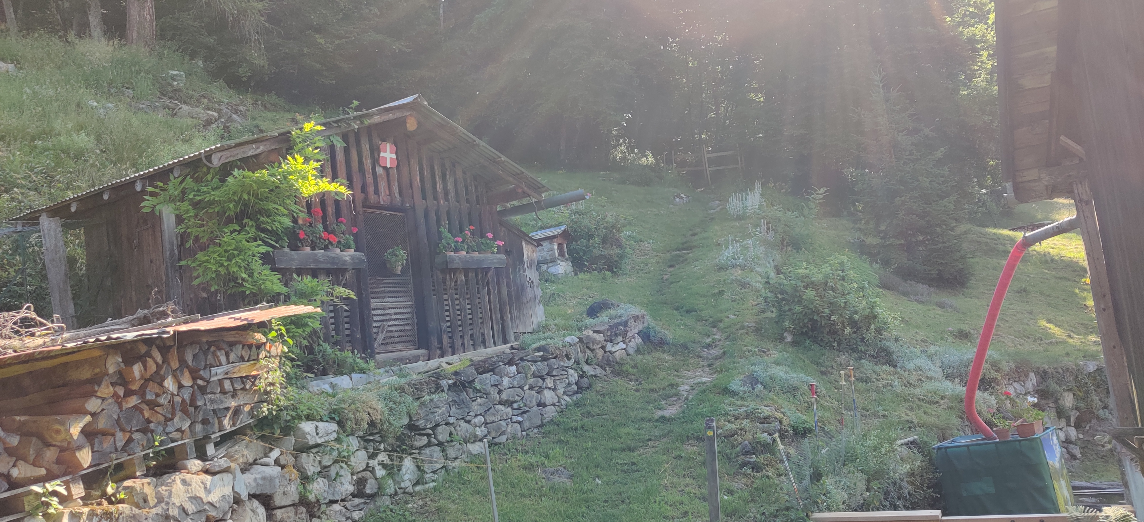 Photo n° 2 de l'avis de Olhyver.e fait le 24/06/2020 à 13:55