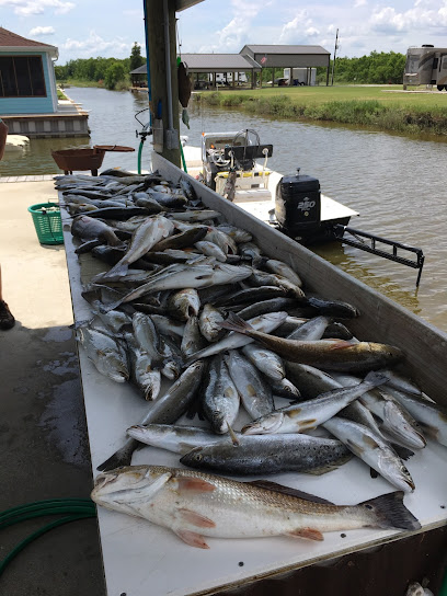Redtail Charters