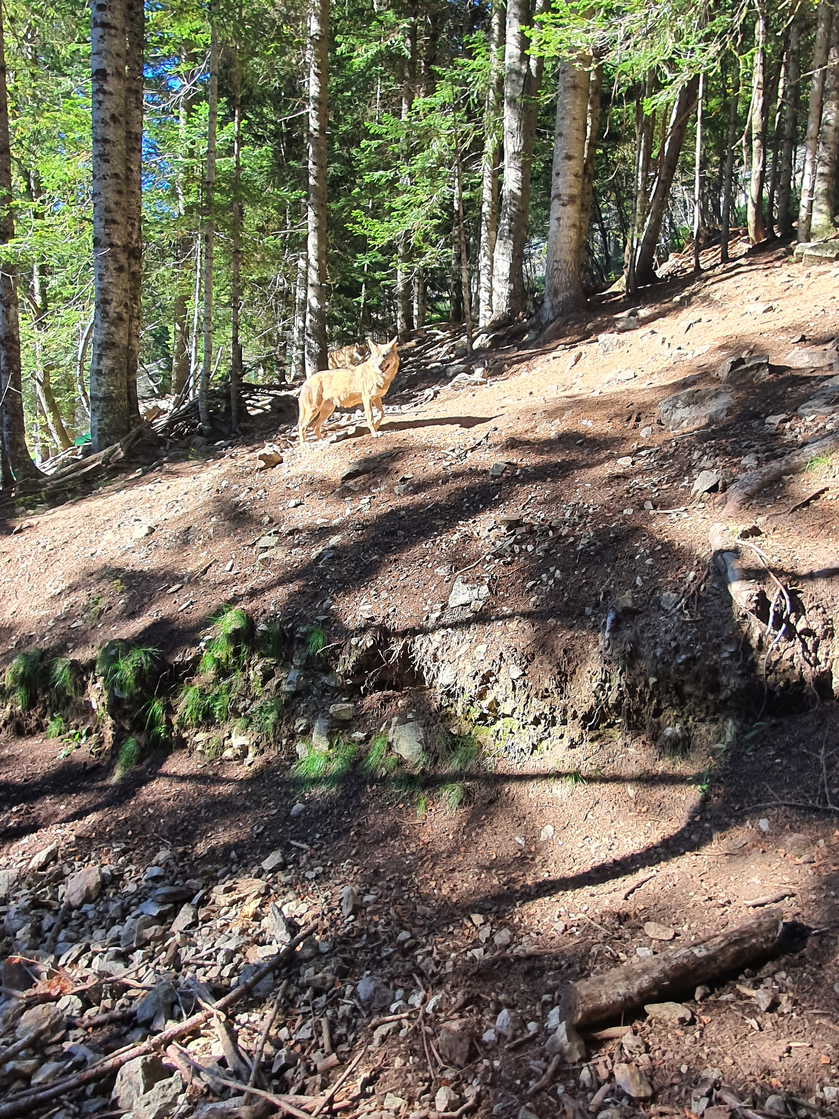 Photo n° 1 de l'avis de David. fait le 05/10/2022 à 14:39