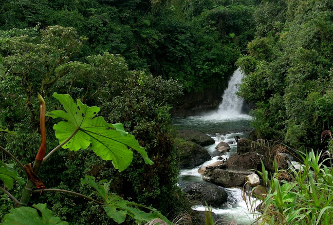 Ecuador Experience - Nature Experience Cia Ltda - Agencia de viajes