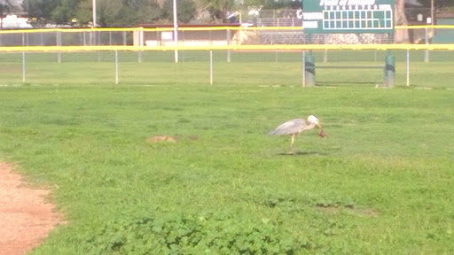 Park «Lambert Park», reviews and photos, 11431 McGirk Ave, El Monte, CA 91732, USA