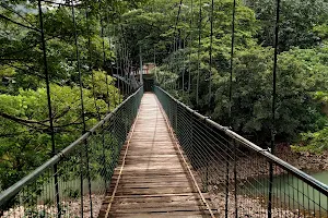 Thenmala Hanging Bridge - Kollam District, Kerala, India image