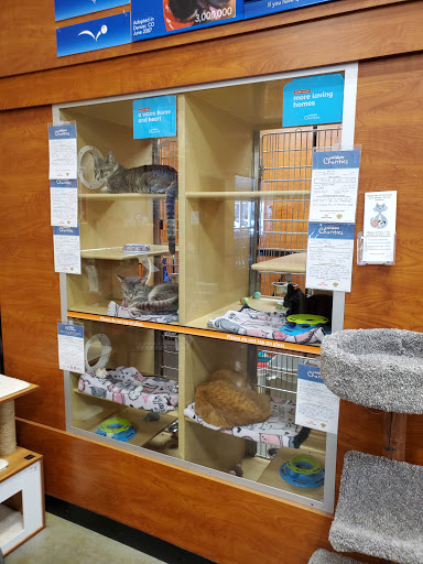 Pet Supply Store «PetSmart», reviews and photos, 601 Centerview Blvd, Kissimmee, FL 34741, USA