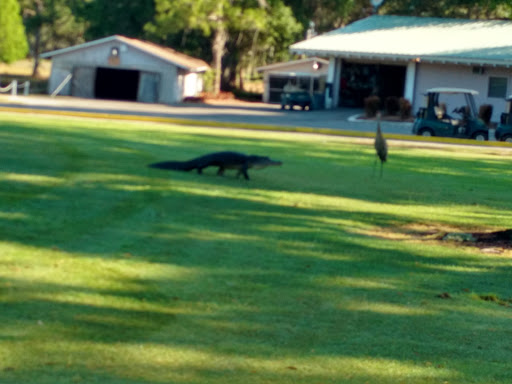 Golf Course «Willowbrook Golf Course», reviews and photos, 4200 FL-544, Winter Haven, FL 33881, USA