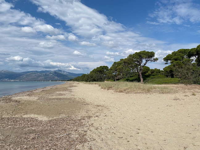 Ταβέρνα Ο Σχοινιάς