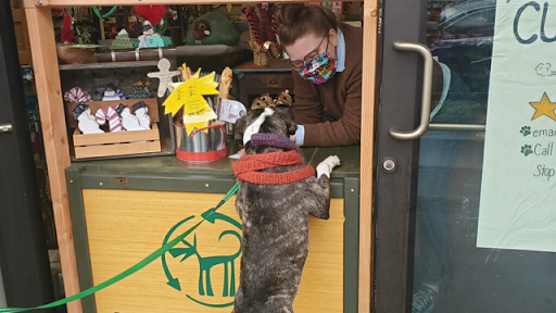 Pet Supply Store «Green Dog Pet Supply», reviews and photos, 4327 NE Fremont St, Portland, OR 97213, USA