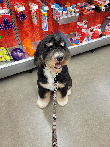 Pet Store «PetSmart», reviews and photos, 3720 River Point Parkway, Sheridan, CO 80110, USA