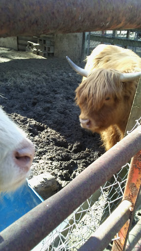 Zoo «Waccatee Zoological Farm», reviews and photos, 8500 Enterprise Rd, Myrtle Beach, SC 29588, USA