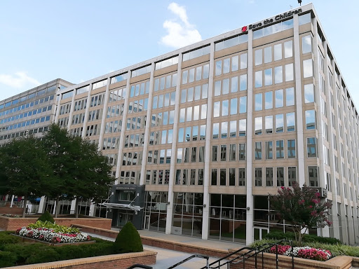 Save the Children Action Network