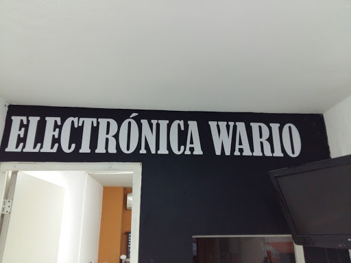 electronica wario