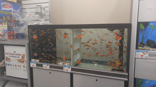 Pet Supply Store «Pet Supplies Plus», reviews and photos, 1407 Lincoln Hwy, Levittown, PA 19056, USA