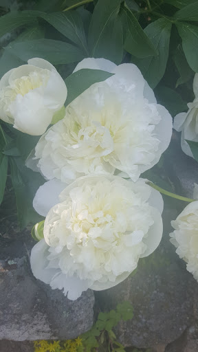 Hair Salon «Evolve Hair Design Inc.», reviews and photos, 165 Pleasant St #9, Marblehead, MA 01945, USA