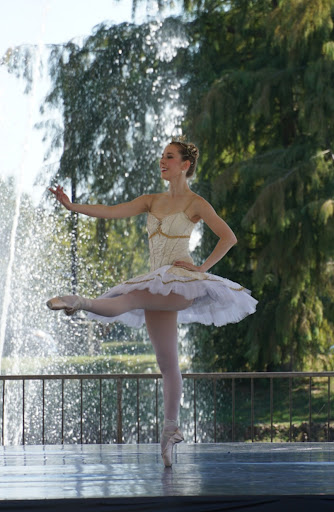 Dog Park «MacArthur Dog Park», reviews and photos, 601 E 9th St, Little Rock, AR 72202, USA