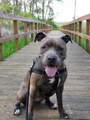 State Park «Monmouth Battlefield State Park», reviews and photos, 16 Business Route 33, Manalapan Township, NJ 07726, USA