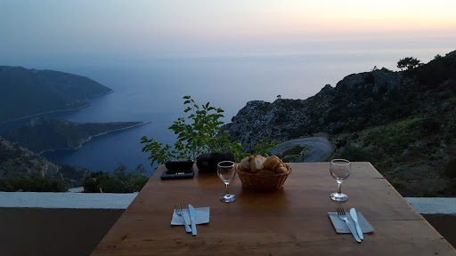 Catchy Camping - Alinca