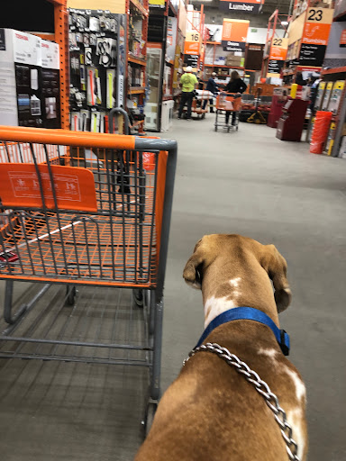 Home Improvement Store «The Home Depot», reviews and photos, 690 Lancaster Pike, Frazer, PA 19355, USA
