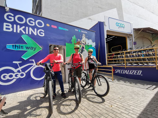 GOGO Biking Rental & Tours