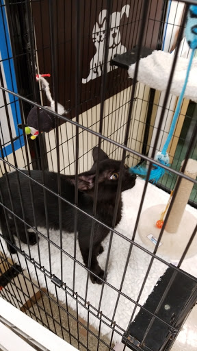 Pet Supply Store «Petco Animal Supplies», reviews and photos, 1753 St Lucie W Blvd, Port St Lucie, FL 34986, USA