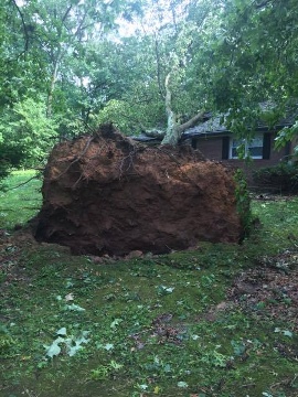 Insurance Agency «Dottrio, LLC - Public Adjusters - Insurance Appraisers», reviews and photos