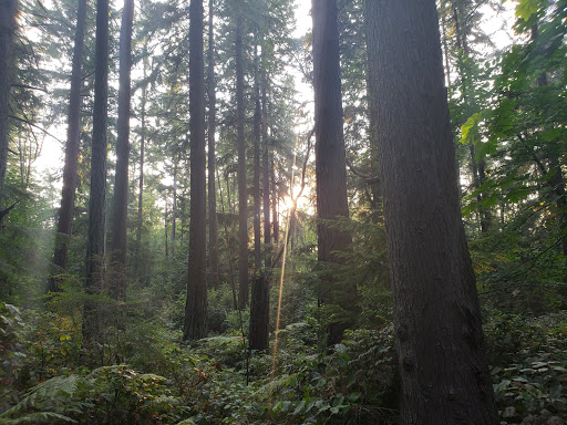 State Park «Dash Point State Park», reviews and photos, 5700 SW Dash Point Rd, Federal Way, WA 98023, USA